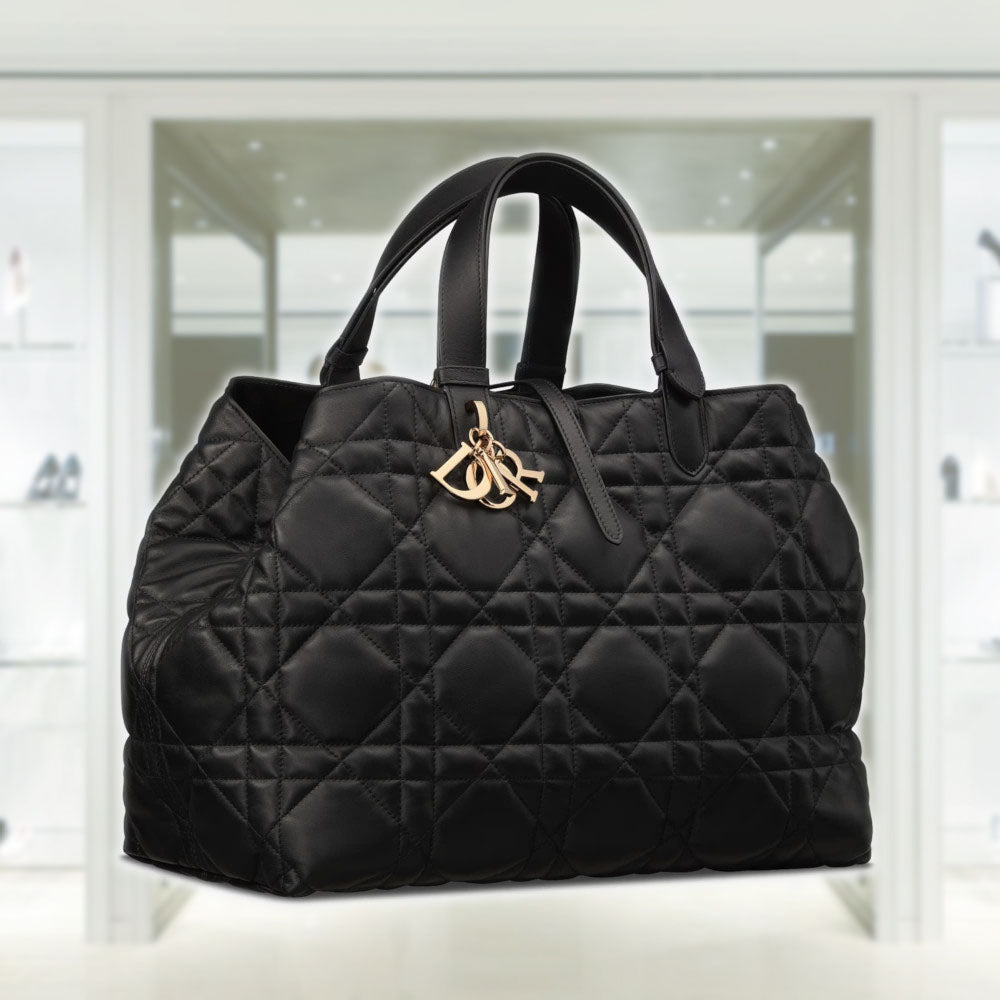 その他 DIOR Christian Dior X SHAWN STUSSY Grained Calfskin Double Zip