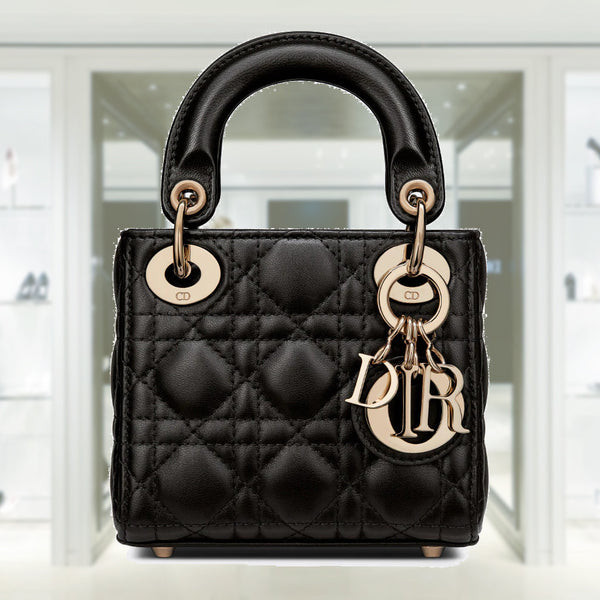 Discover Lady Dior's Artistic Handbags for Spring 2023
