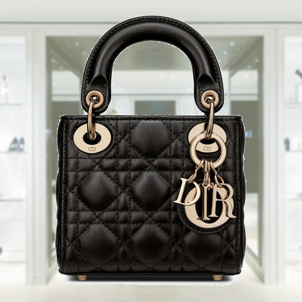 Discover Lady Dior's Artistic Handbags for Spring 2023 – BORDER-GARA