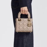 Mini Lady Dior Bag