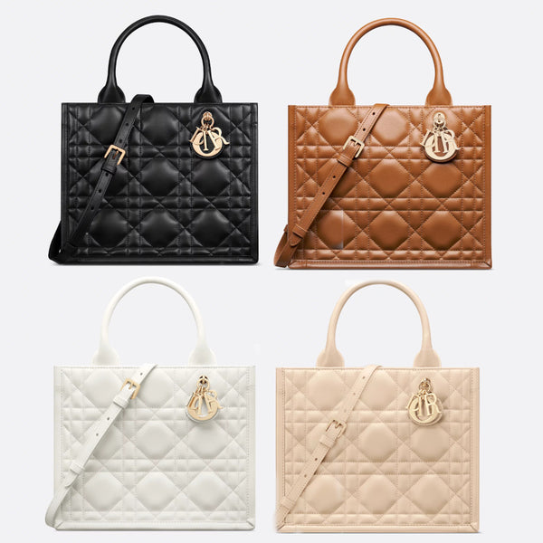 Small Dior Book Tote