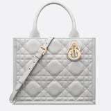 Small Dior Book Tote