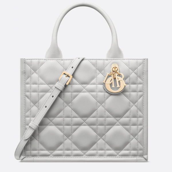Small Dior Book Tote