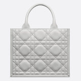 Small Dior Book Tote