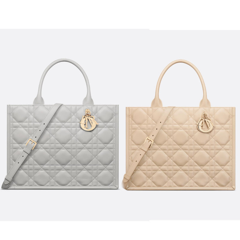 Medium Dior Book Tote
