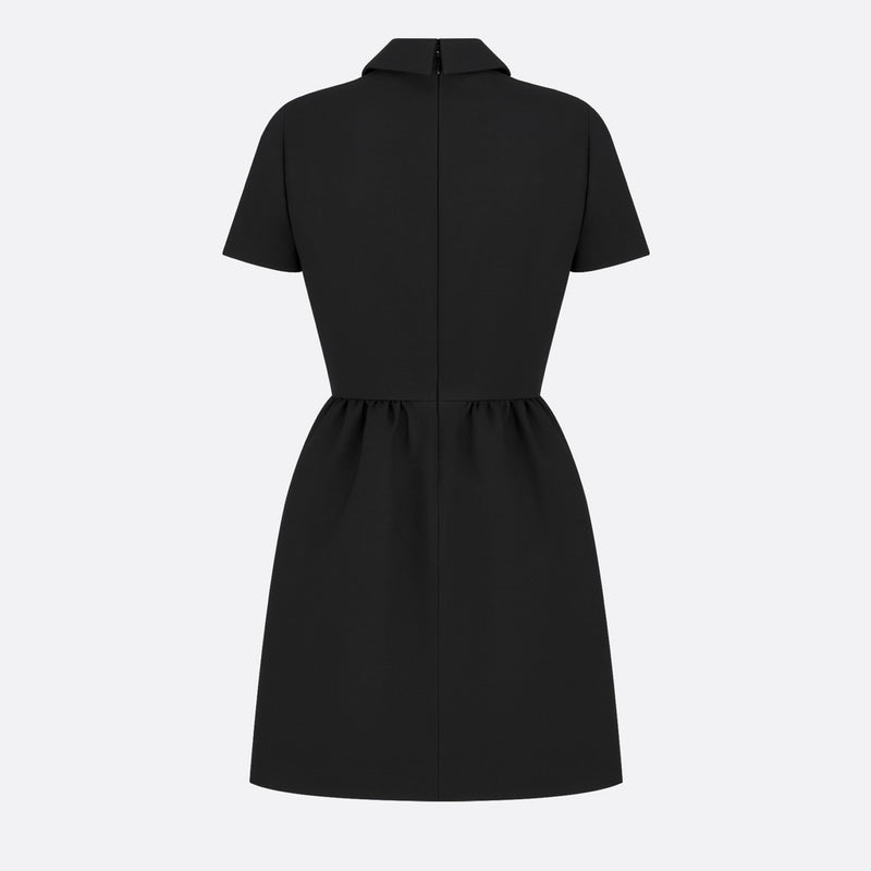 Fitted Dress with CD Buttons