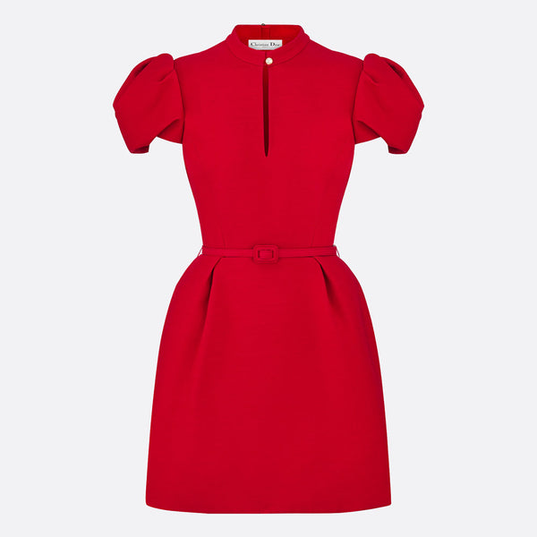 Short Belted Dress