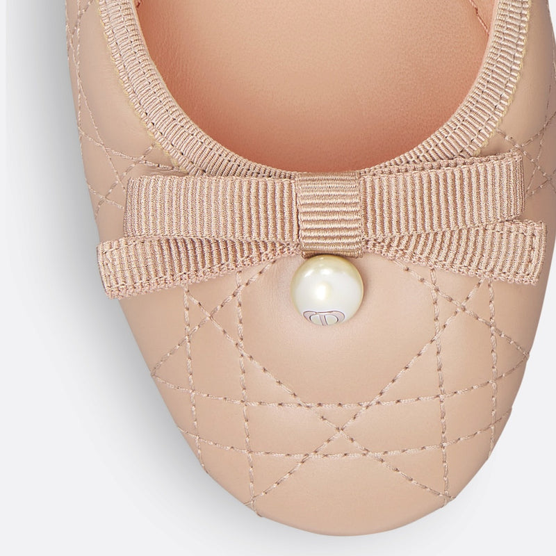 Dior Ballet Slingback Pump