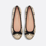 Dior Ballet Flat