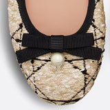 Dior Ballet Flat