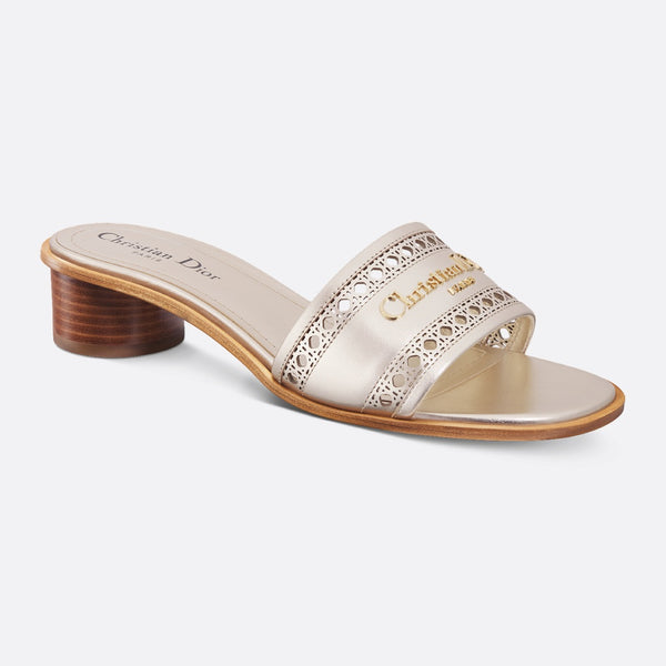 Dior Or D-Lane Heeled Slide