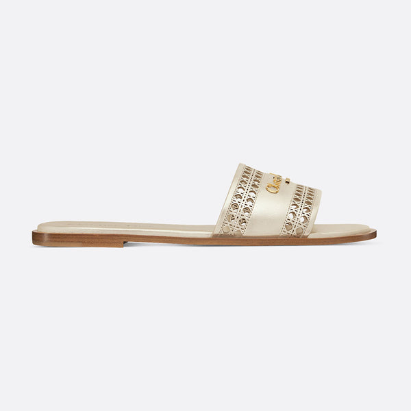 Dior Or D-Lane Slide