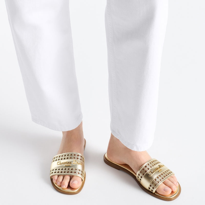 Dior Or D-Lane Slide