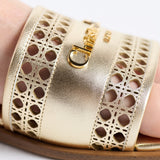 Dior Or D-Lane Slide