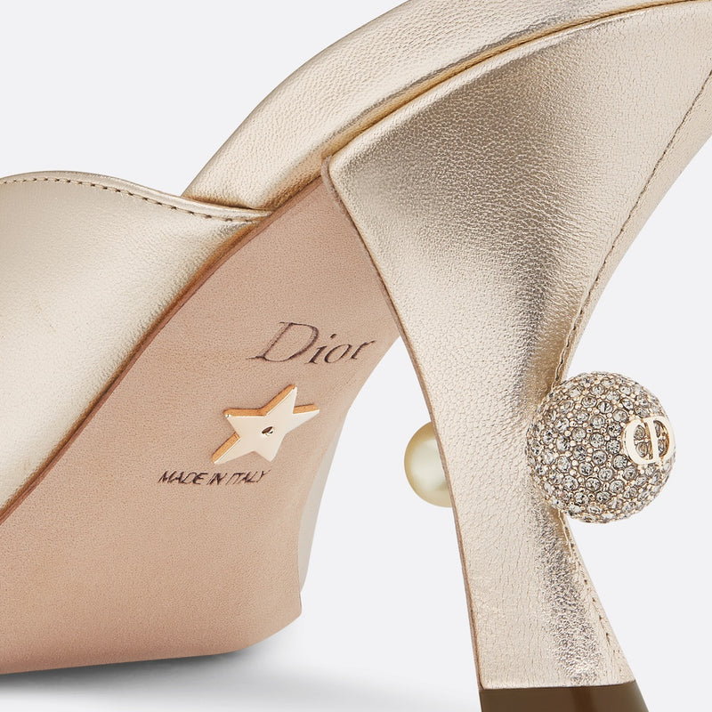 Dior Or Dior Tribales Heeled Slide