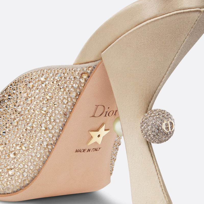 Dior Or Dior Tribales Heeled Slide