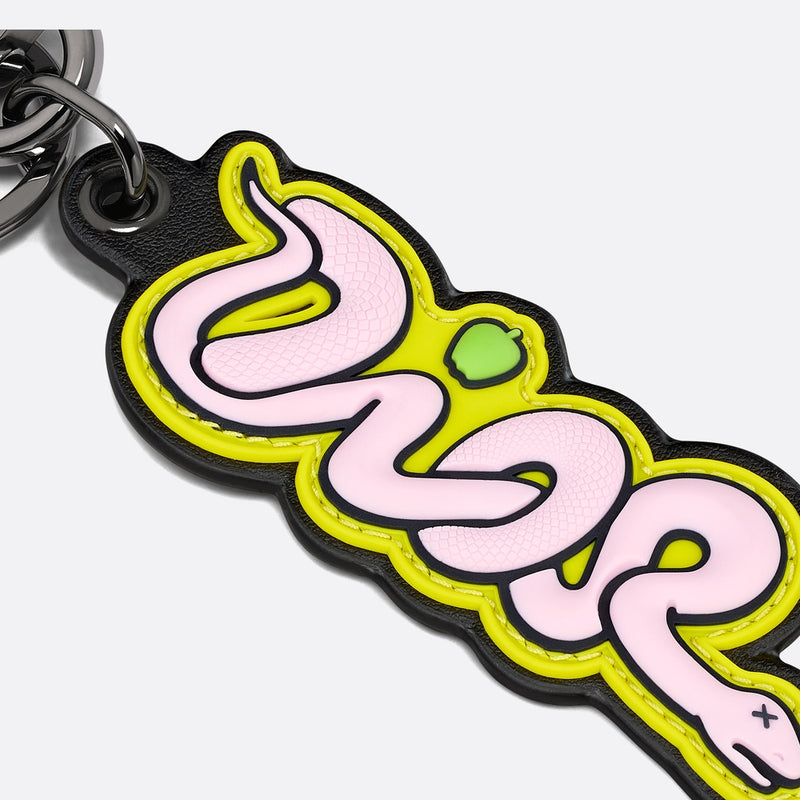DIOR AND KAWS Key Ring