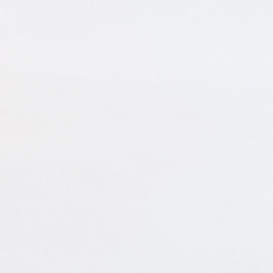 Dior Ballet Slingback Pump