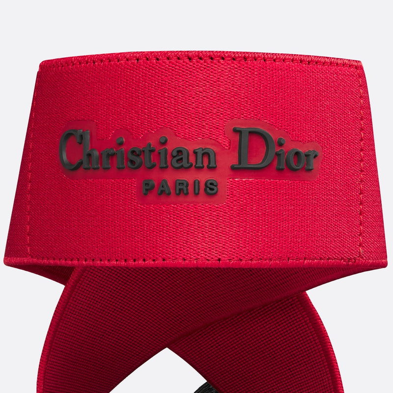 Dior Shade Ballet Flat