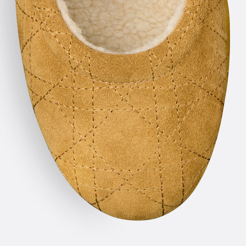 DiorAlps Dior Frost Ballet Flat