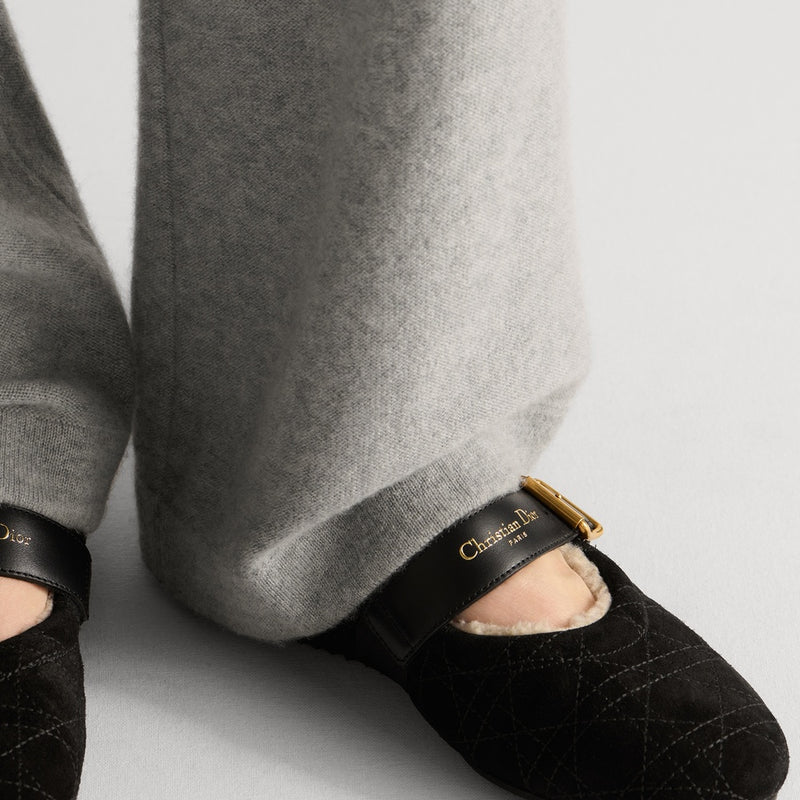 DiorAlps Dior Frost Ballet Flat