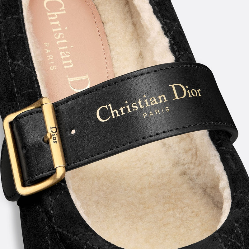 DiorAlps Dior Frost Ballet Flat