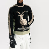 Dior Mountain Sweater