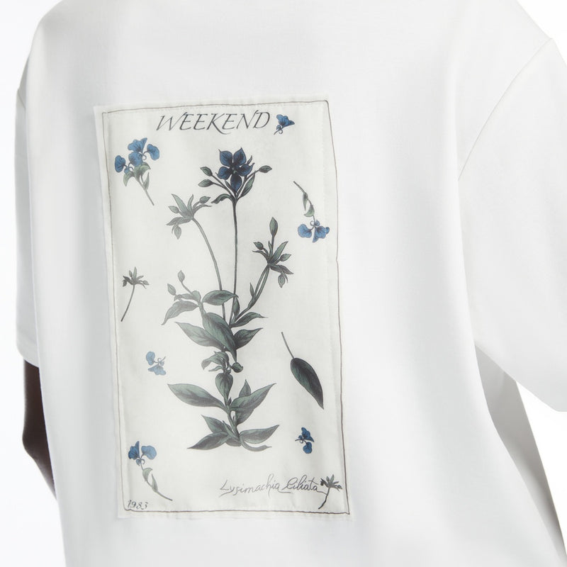 Organic cotton T-shirt