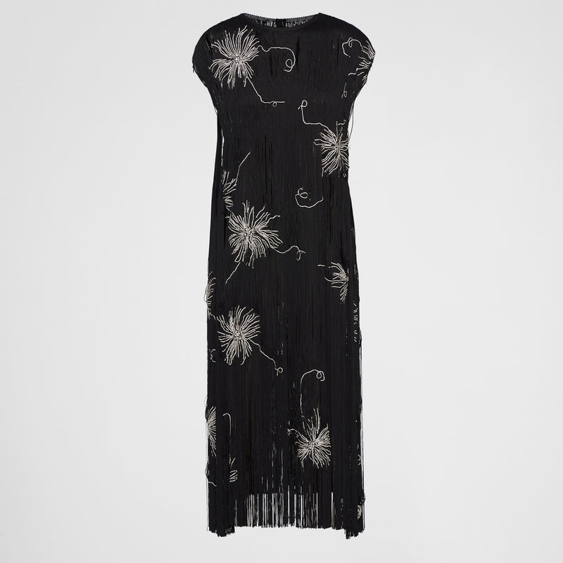 Embroidered dress with fringe