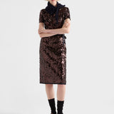 Embroidered sequin skirt