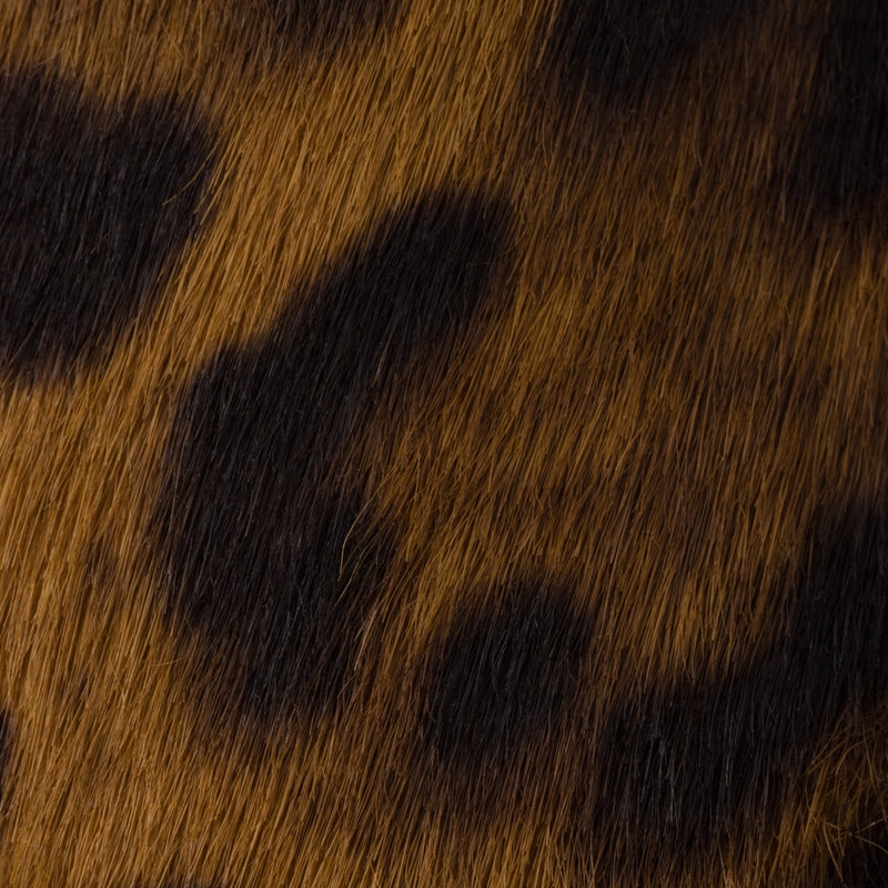 Printed leather ballerinas