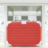 HOLIDAY Hand-Carry Case
