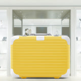 HOLIDAY Hand-Carry Case