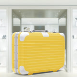 HOLIDAY Hand-Carry Case