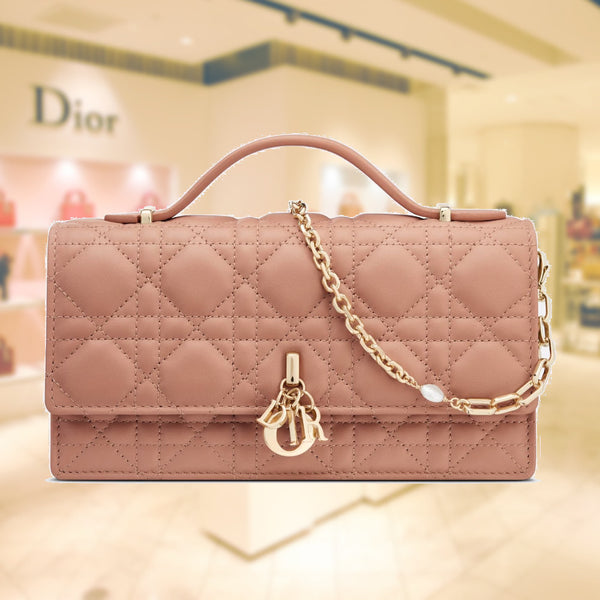 Dior LADY DIOR TOP HANDLE CLUTCH S0980ONMJ M82P BORDER GARA