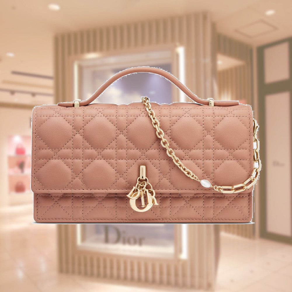 Dior LADY DIOR TOP HANDLE CLUTCH S0980ONMJ_M49P – BORDER-GARA