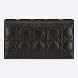 DIOR CARO POUCH