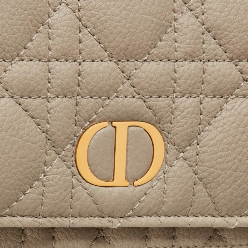 DIOR CARO POUCH