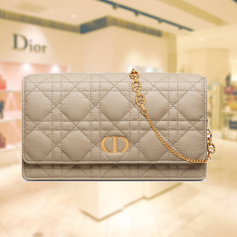 DIOR CARO POUCH