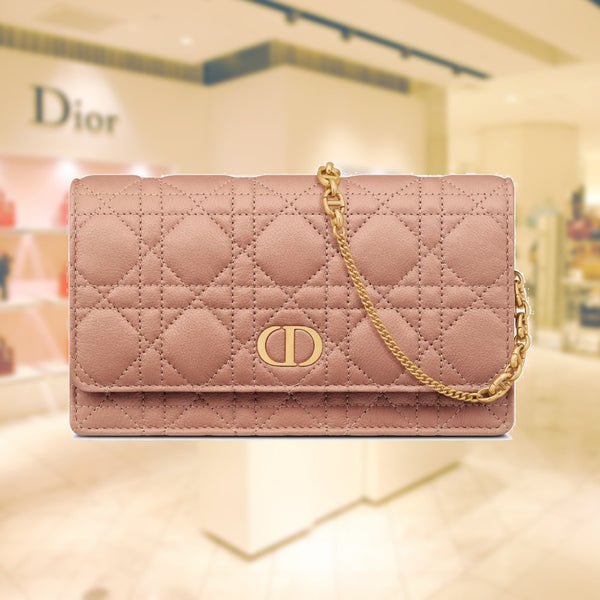 DIOR CARO POUCH