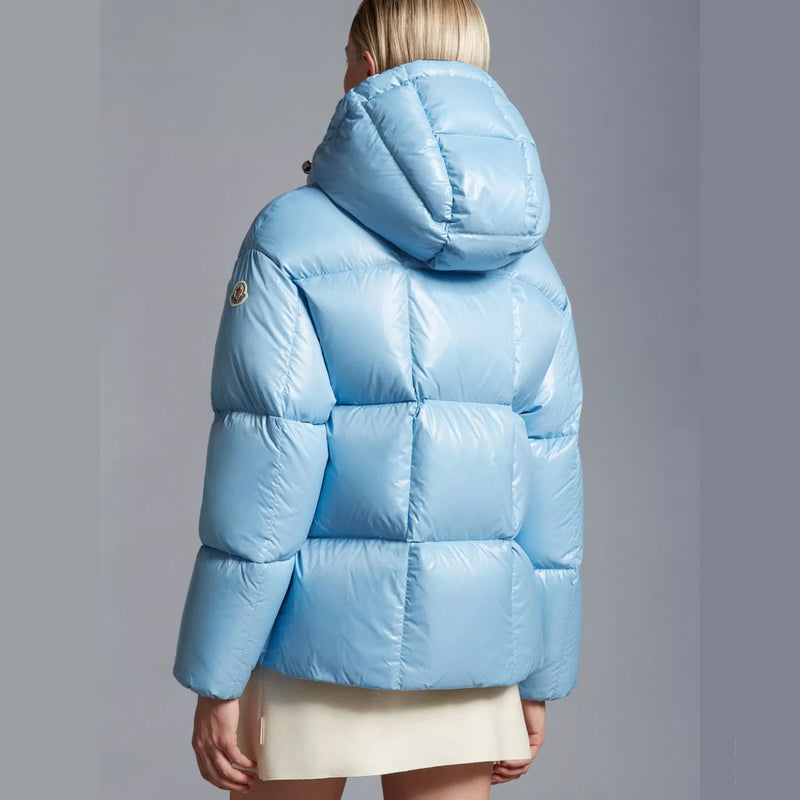 Moncler fourmi down sales jacket